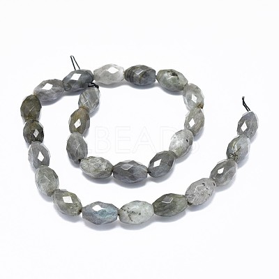 Natural Labradorite Beads Strands G-F632-16A-1