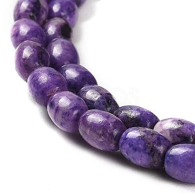Natural Dolomite Beads Strands G-F765-A04-01-1