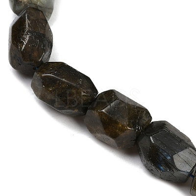 Natural Labradorite Beads Strands G-F796-C10-01-1