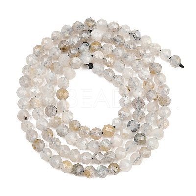 Natural Labradorite Beads Strands G-RM250104-A1-1