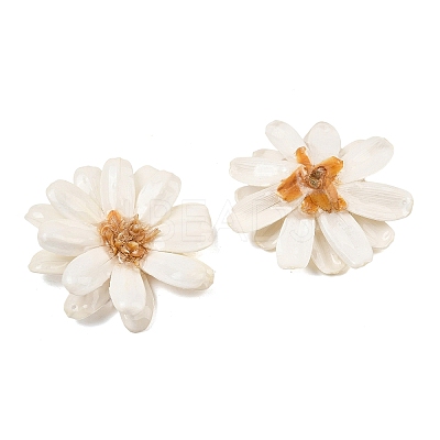 Epoxy Resin & Dried Flower Big Pendants RE-CBAAE94-01D-1