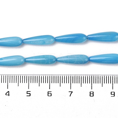 Natural Freshwater Shell Beads Strands SHEL-A004-03C-1