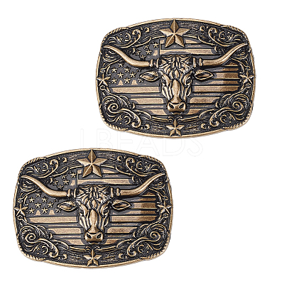 2Pcs Zinc Alloy Smooth Buckles FIND-NB0007-31A-02-1