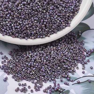 MIYUKI Delica Beads X-SEED-J020-DB2322-1