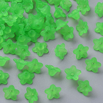 Transparent Acrylic Beads X-PL554-13-1