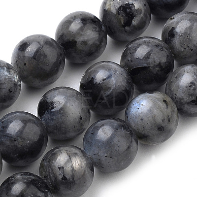 Natural Larvikite Beads Strands G-S259-06-6mm-1