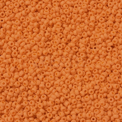 MIYUKI Round Rocailles Beads X-SEED-G007-RR0405F-1