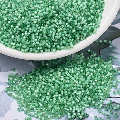 MIYUKI Delica Beads SEED-J020-DB2188-1