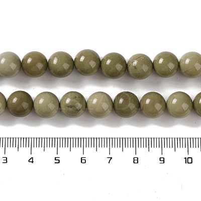 Natural Alashan Agate Beads Strands G-P530-B05-04-1