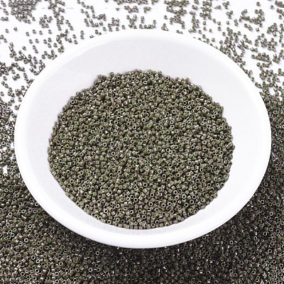 MIYUKI Delica Beads X-SEED-J020-DB0657-1