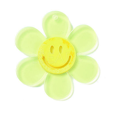 Transparent Acrylic Big Pendants LS-OACR-P012-A04-1