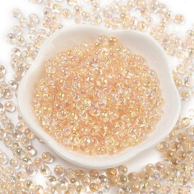 6/0 Inside Colours Fringe Glass Seed Beads SEED-A034-03H-1