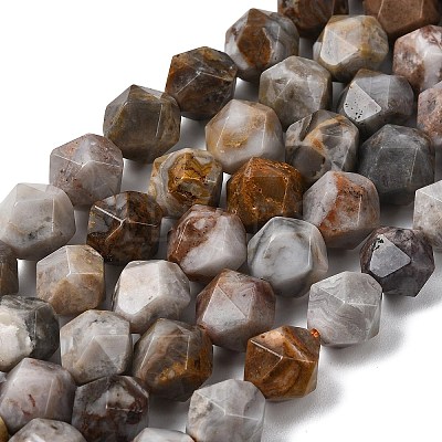 Natural Gobi Agate Beads Strands G-Z119-A36-03-1