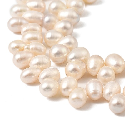 Natural Cultured Freshwater Pearl Beads Strands PEAR-I007-04E-01A-1