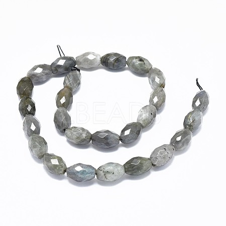 Natural Labradorite Beads Strands G-F632-16A-1
