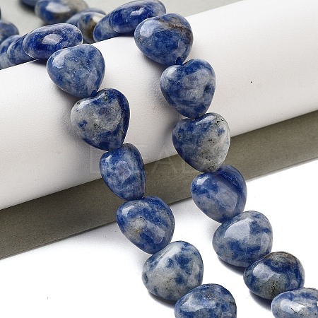 Natural Blue Spot Jasper Beads Strands G-B022-26C-1