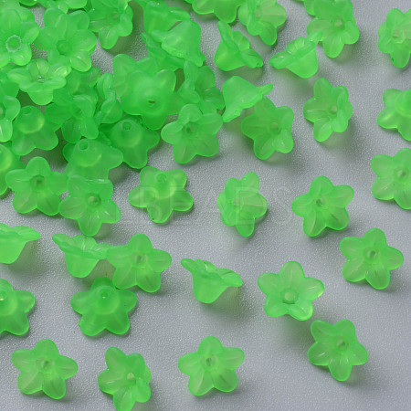 Transparent Acrylic Beads X-PL554-13-1