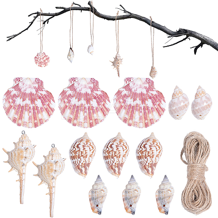20Pcs 5 Styles Natural Shell Big Pendants BSHE-BM0001-01-1