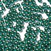 Glass Seed Beads SEED-H002-C-A050-3