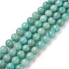 Natural Amazonite Beads Strands G-F461-12-6mm-01-1