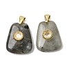 Natural Labradorite Pendants G-C282-03F-1