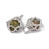 Natural Unakite Pendants G-P484-03P-02-3