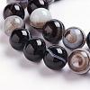 Natural Black Striped Agate/Banded Agate Beads Strands G-J359-01-10mm-3