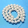 Round Shell Pearl Bead Strands BSHE-L011-12mm-A013A-3