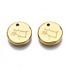 316 Surgical Stainless Steel Charms LS-STAS-S116-418E-G-2