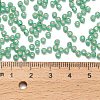 TOHO 8/0 Round Beads X-SEED-TR08-2119-4