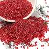 12/0 FGB Grade A Round Glass Seed Beads X-SEED-Q011-F508-1