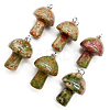 Natural Unakite Pendants FIND-SZC0010-557-1