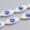 Natural Shell Beads Strands SSHEL-I024-04F-1