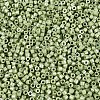 FGB 11/0 Grade A Baking Paint Glass Seed Beads SEED-S030-1037-3