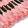 10 Skeins 6-Ply Polyester Embroidery Floss OCOR-K006-A28-2