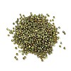 Electroplated Glass Beads X-GLAA-Q120-02A-05-2