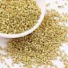 Cylinder Seed Beads X-SEED-H001-D06-1