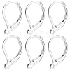 100Pcs 316L Surgical Stainless Steel Leverback Earring Findings STAS-BBC0010-61S-1