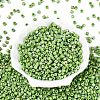 FGB Opaque Colours Glass Seed Beads SEED-Q040-07A-A06-2