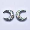 Natural Abalone Shell/Paua Shell Cabochons SSHEL-P015-80A-35mm-2