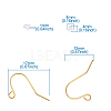 Iron Earring Hooks IFIN-TA0001-21-9