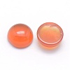Natural Carnelian Cabochons G-P393-R18-6mm-2