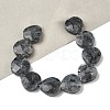 Natural Larvikite Beads Strands G-A309-A18-01-1