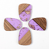 Transparent Resin & Walnut Wood Pendants RESI-S389-042A-B01-1