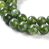 Dyed Natural Malaysia Jade Beads Strands G-G021-02A-13-3