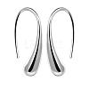 Silver Color Plated Brass Dangle Earrings EJEW-BB11917-1