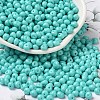 6/0 Opaque Baking Paint Glass Seed Beads SEED-M012-02A-01-1