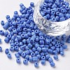 6/0 Glass Seed Beads SEED-US0003-4mm-43B-1