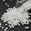 TOHO 6/0 Round Beads X-SEED-TR06-0041F-1