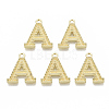 Alloy Pendants PALLOY-N157-002A-NR-1